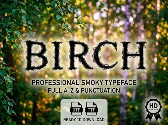 Birch Font: Bold Decorative Display Typography