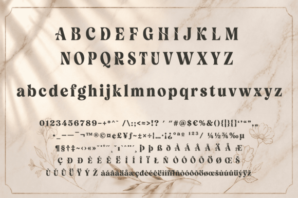 Velour Delamio: Typography That Commands Attention